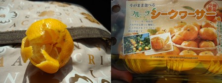 シークアーサー