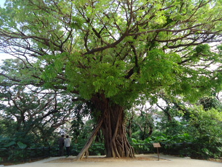 沖縄旅行 151