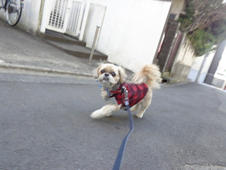 DSC08709