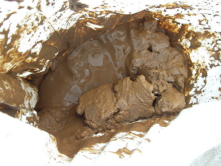 2010 6/17 005