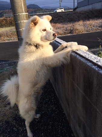 2014年12月　警戒中！？