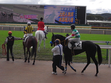 ハイランドダンス　2010年11月1日　1R 2歳未勝利