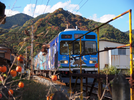PB036167