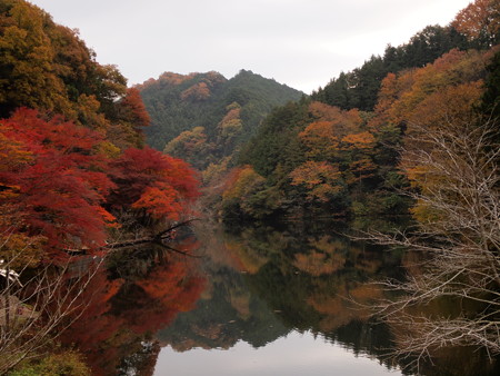 20141124A1 (1)