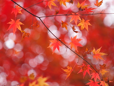 20141124A1 (3)