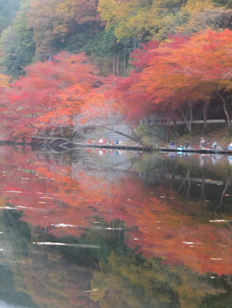20141124A1 (5)