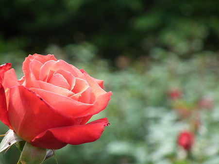 DSCF0319