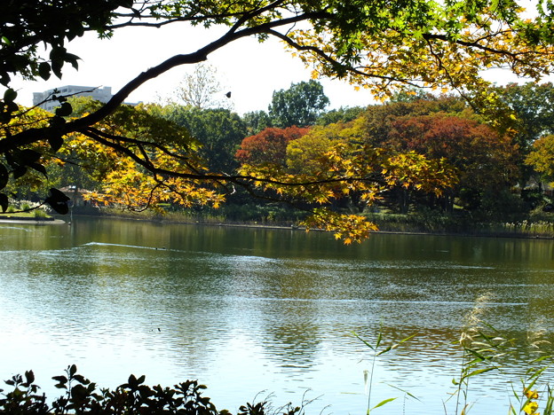 DSCF0203