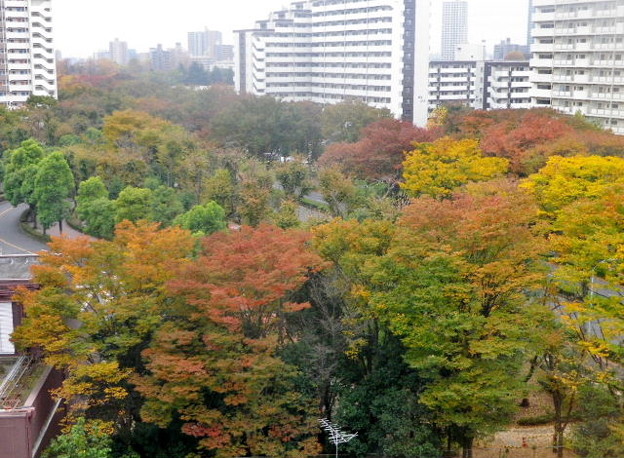 IMGP0018