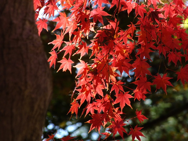 DSCF0170