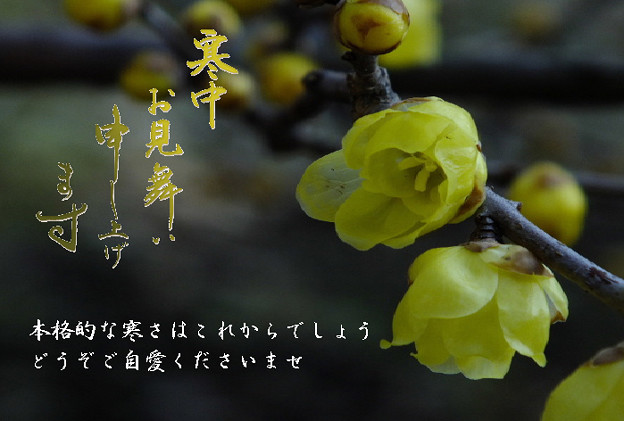 寒中2