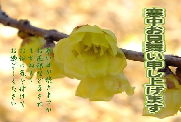 寒中3