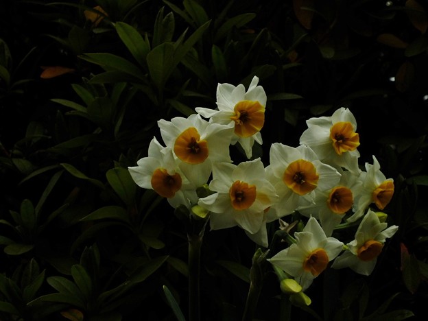DSCF0018