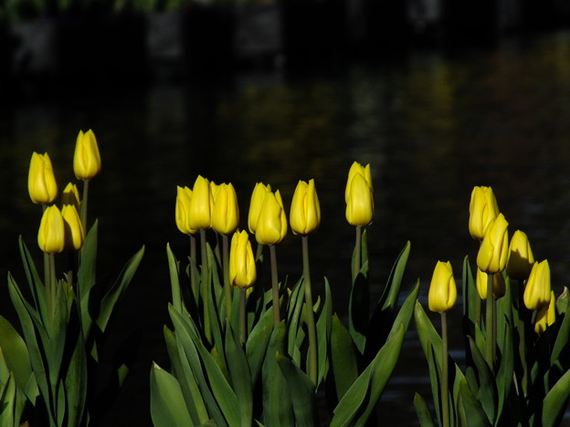 DSCF0410