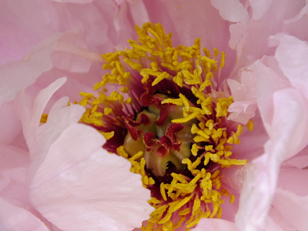 DSCF0062