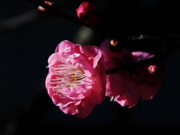 DSCF0008
