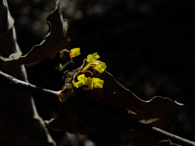 DSCF0026