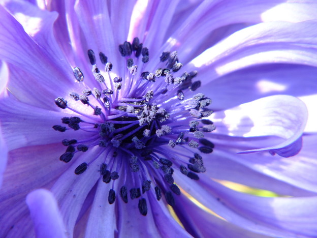 DSCF0164