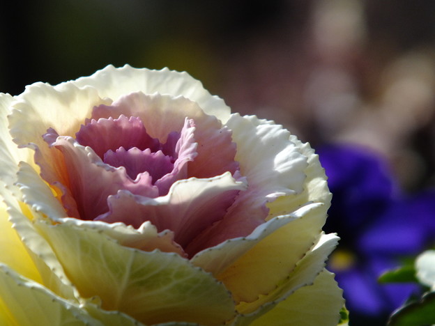 DSCF0182