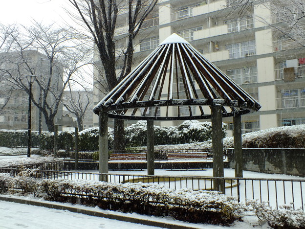 DSCF0036