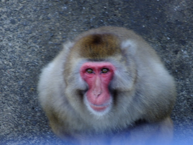 DSCF0245