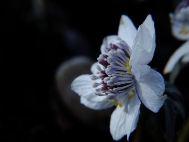 DSCF0209