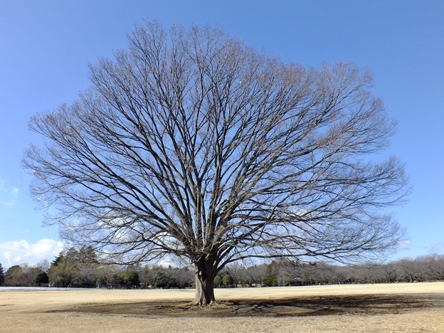 DSCF0110