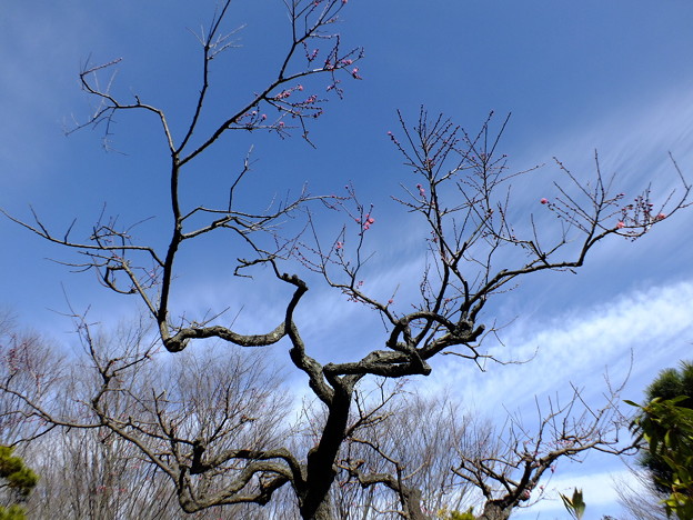 DSCF0082