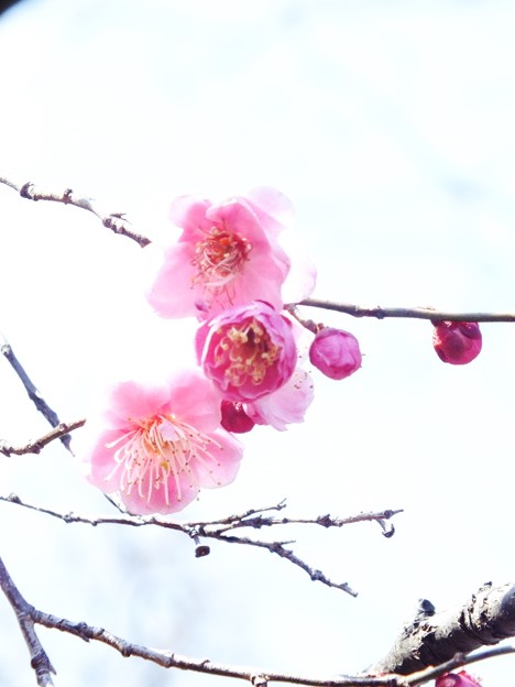DSCF0329
