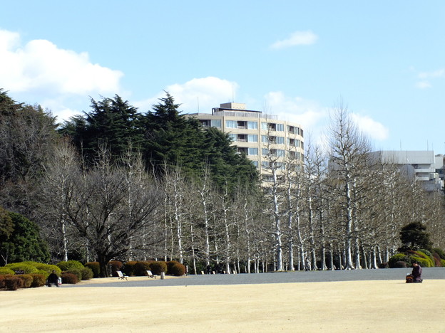 DSCF0332