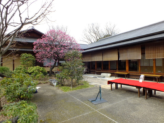 DSCF0019