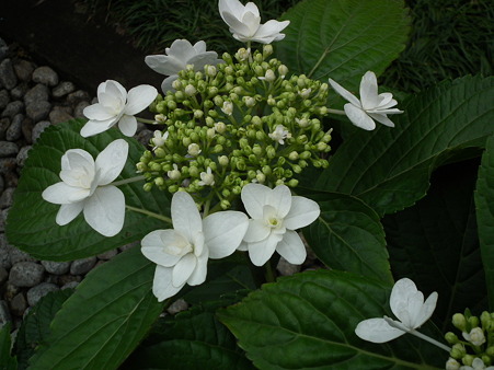 画像 199