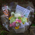 Photos: ふぢたさんのお花