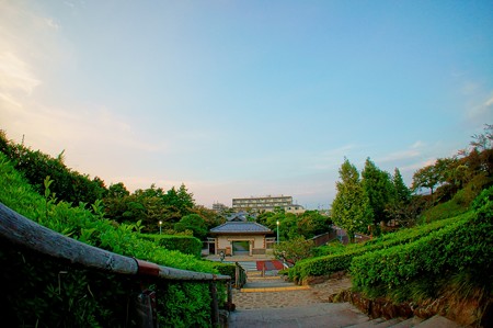 柴又公園