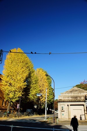 上野公園 博物館動物園駅跡
