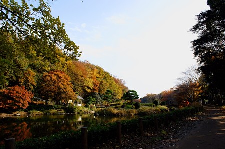じゅんさい池緑地