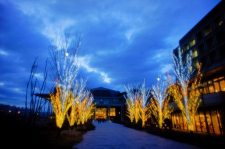 Silky illumination
