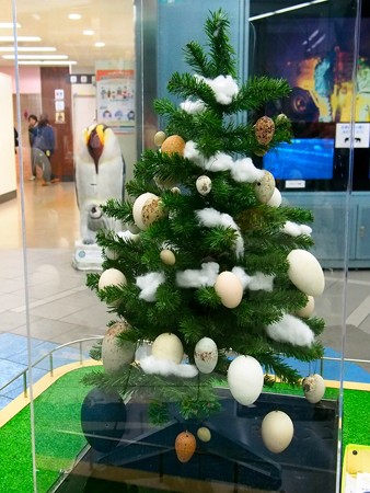 20141213 多摩 たまごツリー