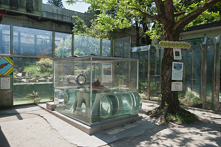toyamafamipa120519004