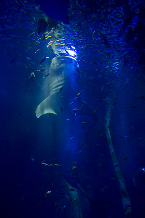 notojima100826212