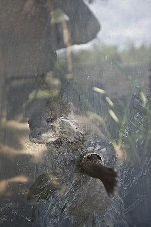 northsafari110705172