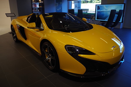 IMGP7990