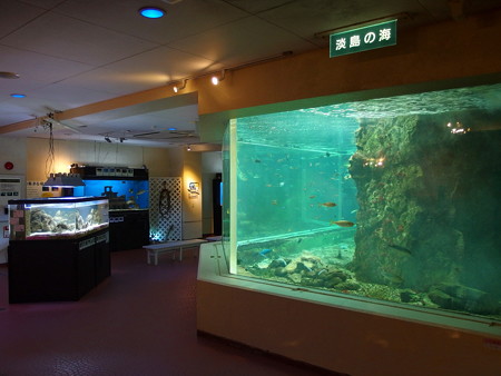 淡島水族館1階