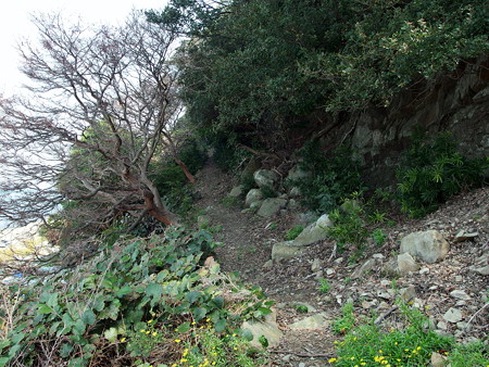 虎島砲台跡へ続く道