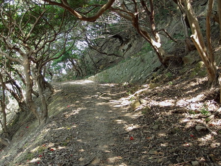 虎島砲台跡へ続く道