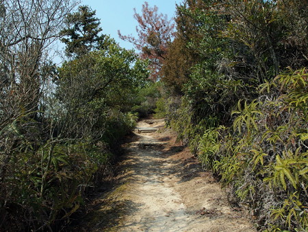 大久野島 自然学習歩道