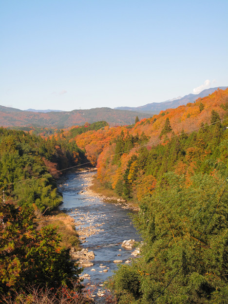 IMG_8768 紅葉色づく山々(御嶽の噴煙が) 写真: IMG_8768 紅葉色づく山々(御嶽の噴煙が)