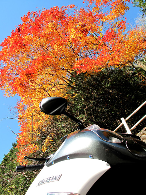 IMG_8783 ZZRと 写真: IMG_8783 ZZRと