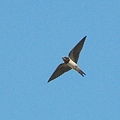 XSC_2683