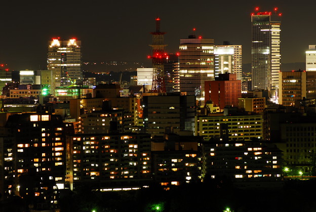 仙台市の夜景 青葉城から 照片共享頁面 攝影藏